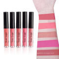 Matte Liquid Lipstick Velvety Long Lasting High Pigmented Waterproof Lip Gloss Set for Girls Women